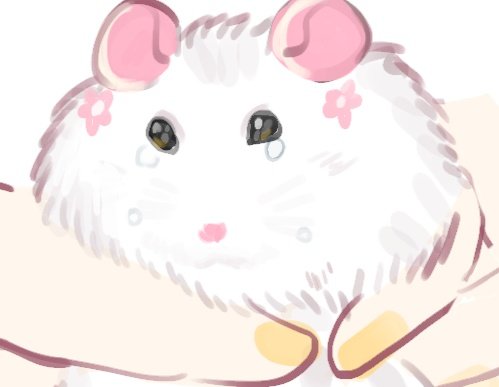 🌸 Shiyorin_ | しよりん 🌸 VStreamer 🌸 tweet media