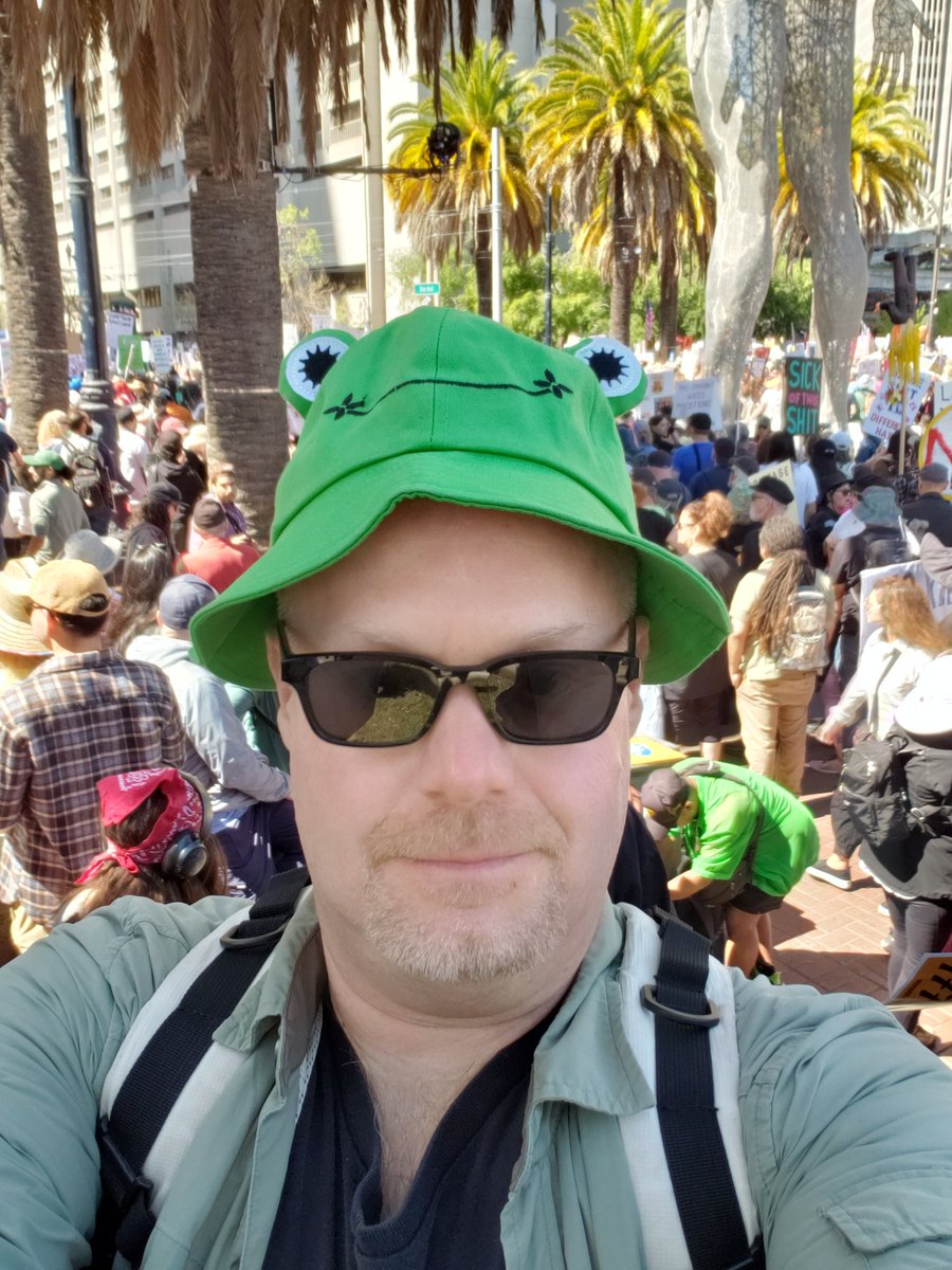 chengesu's tweet photo. Frogs for freedom!  #nokings #frogcrypto https://t.co/H4Bygy0cJy