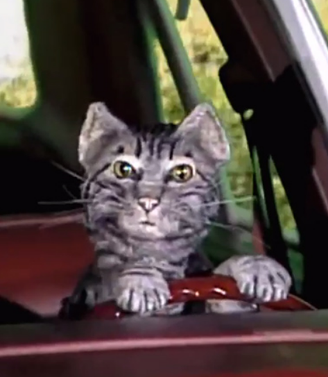 Joe Blevins tweet media