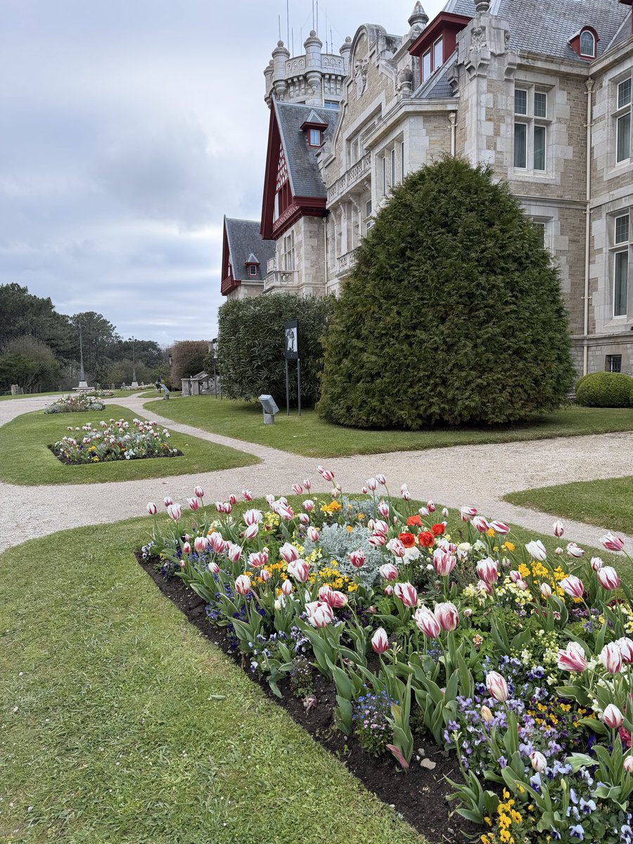 MagistraThor🇪🇸 tweet media