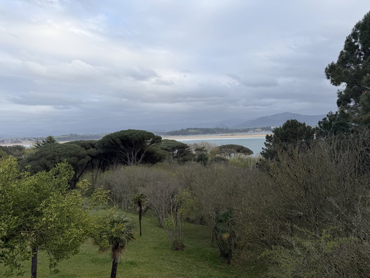 MagistraThor🇪🇸 tweet media