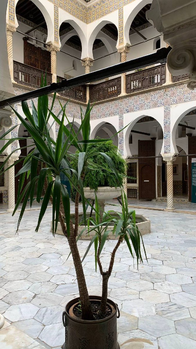 R ۞ 🇩🇿 tweet media