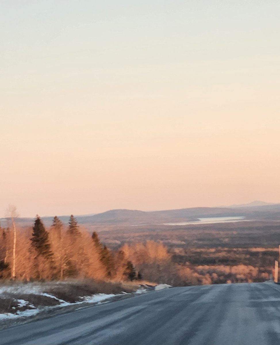 Elamonster ❤️💔 tweet media