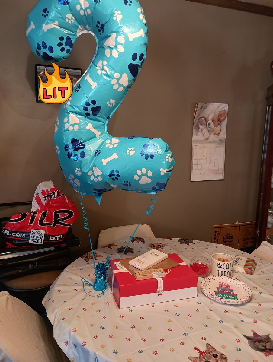 Taz the Salmon Runner SHOP OPEN tweet media