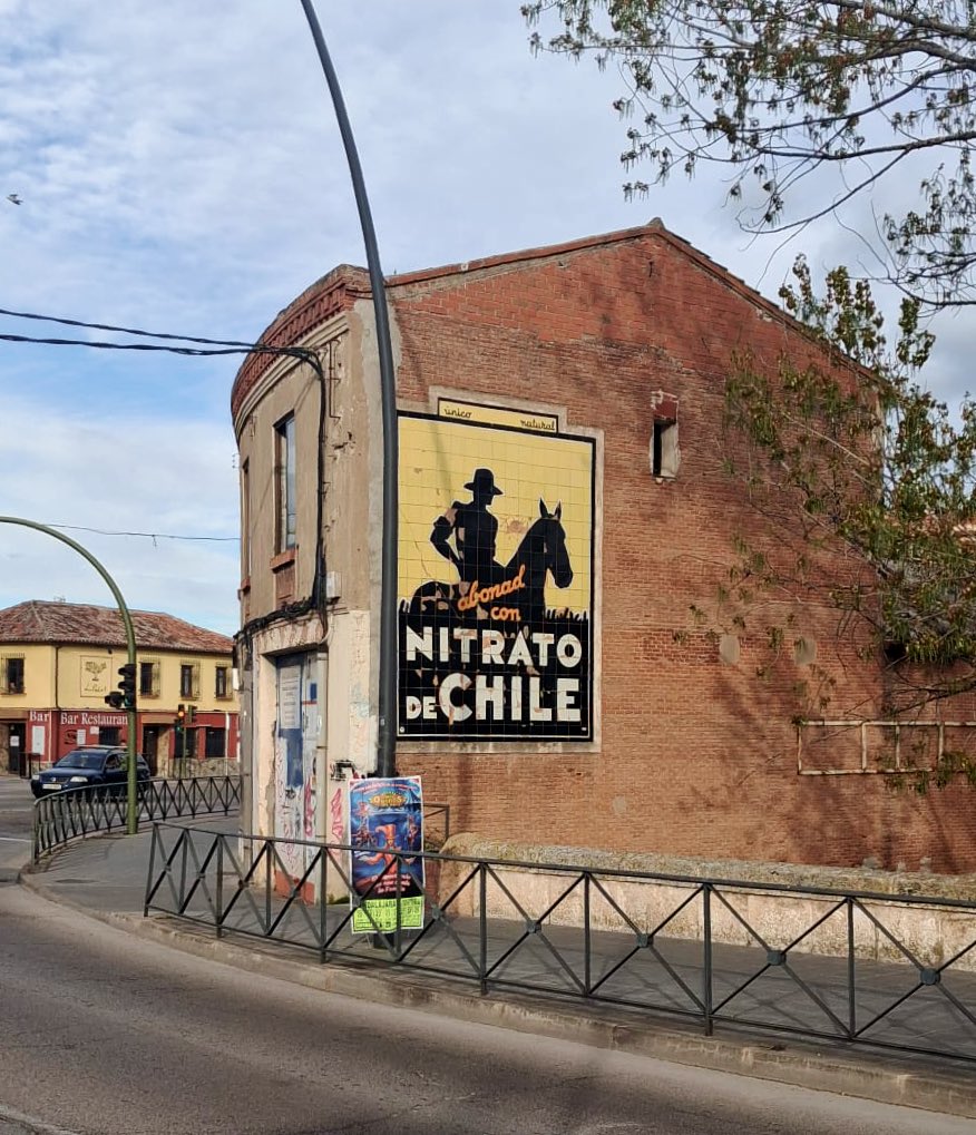 Agustín Larson Castillo tweet media