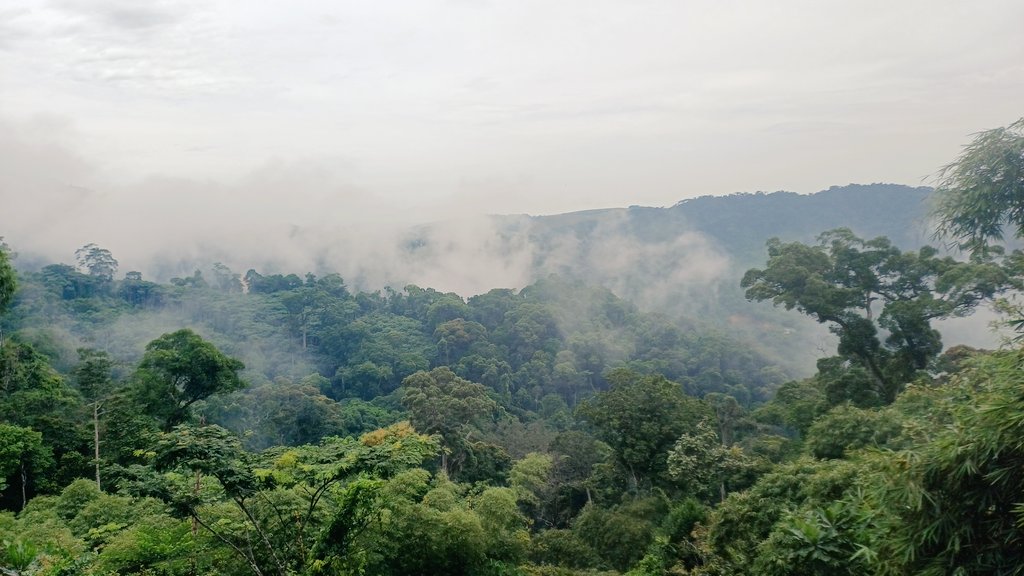 Z buta dookoła Świata tweet media