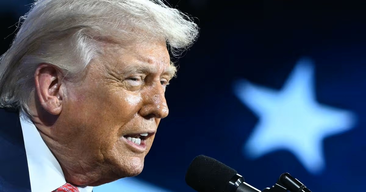 Mirror Politics tweet media