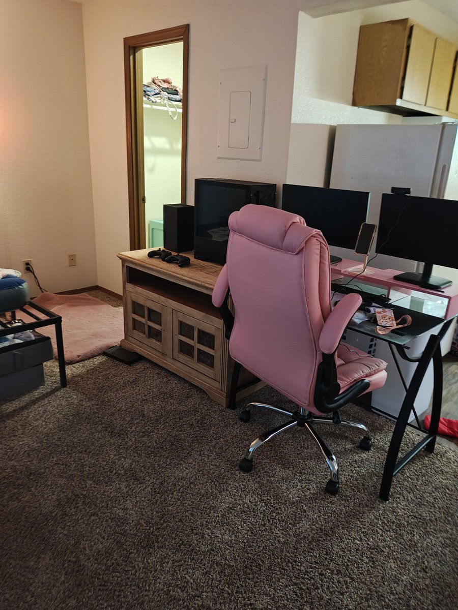 Poki Nemuru☁️⭐🪽Sleepy Chinchilla Angel tweet media