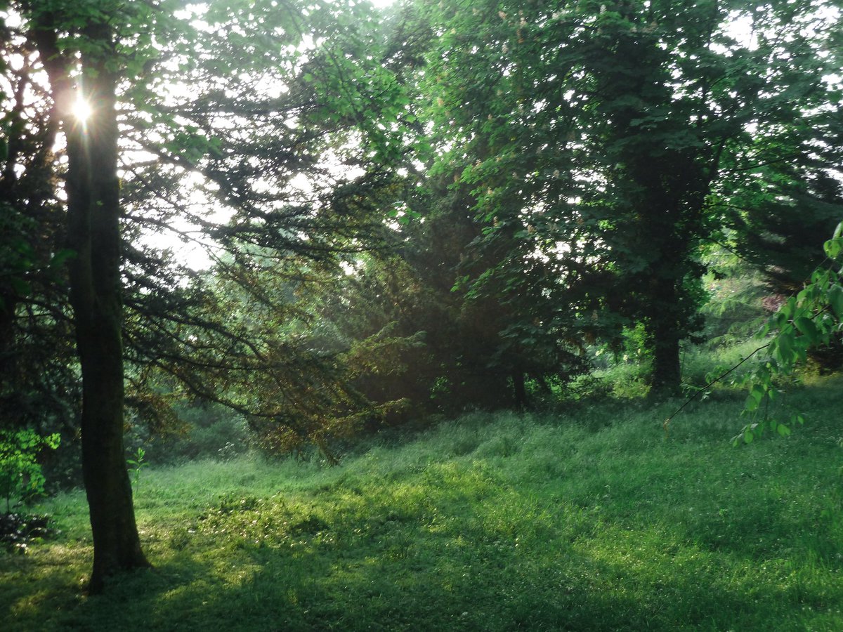 خوبصورت tweet media