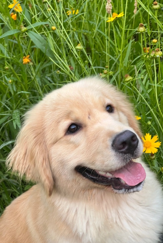 Natalie Wheating tweet media