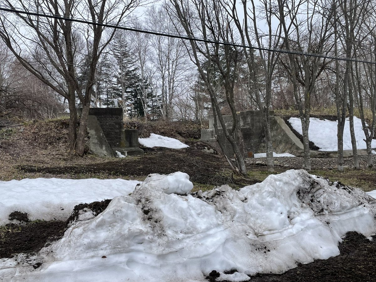 急行　利尻 tweet media