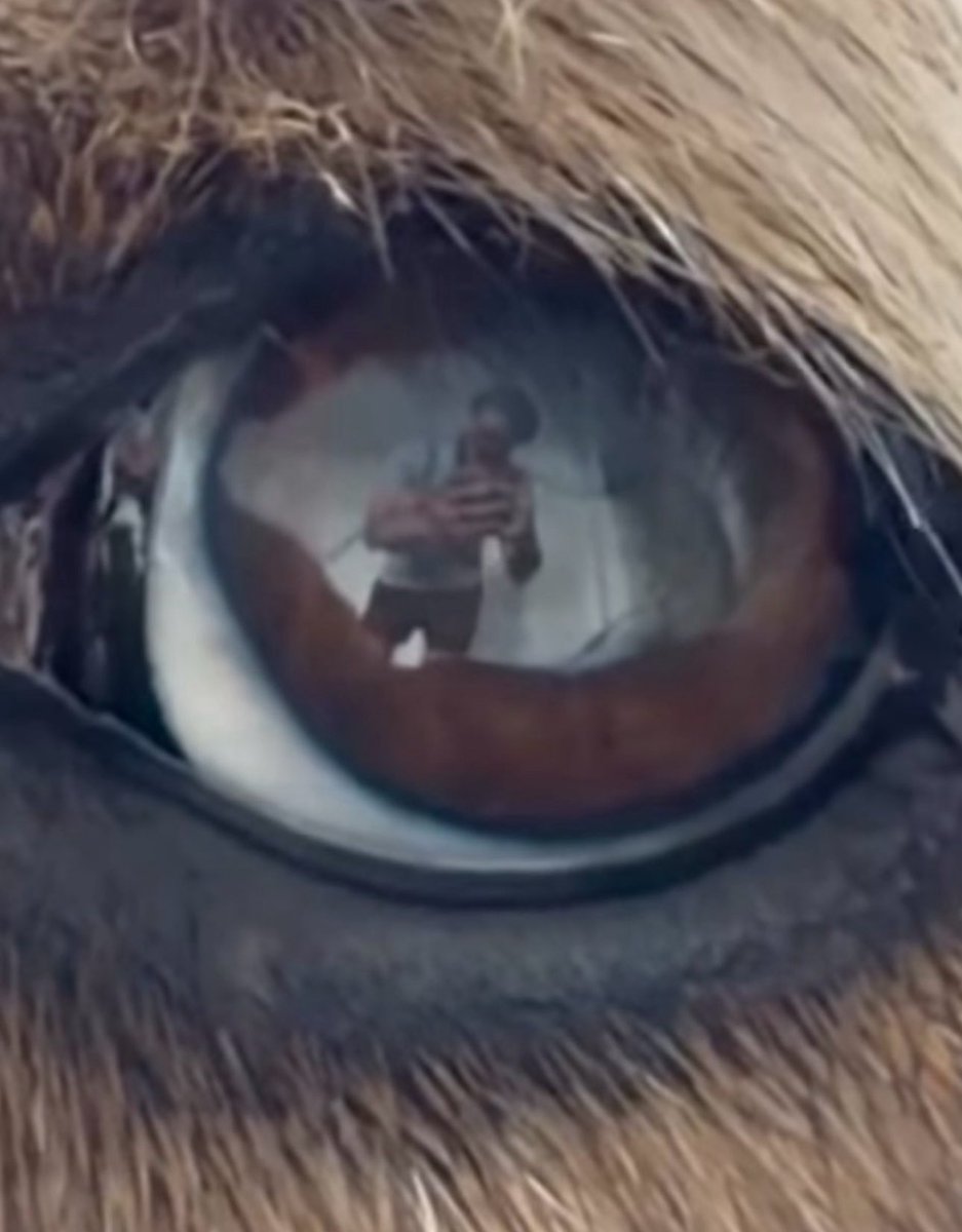 ℝ𝕖𝕪 tweet media