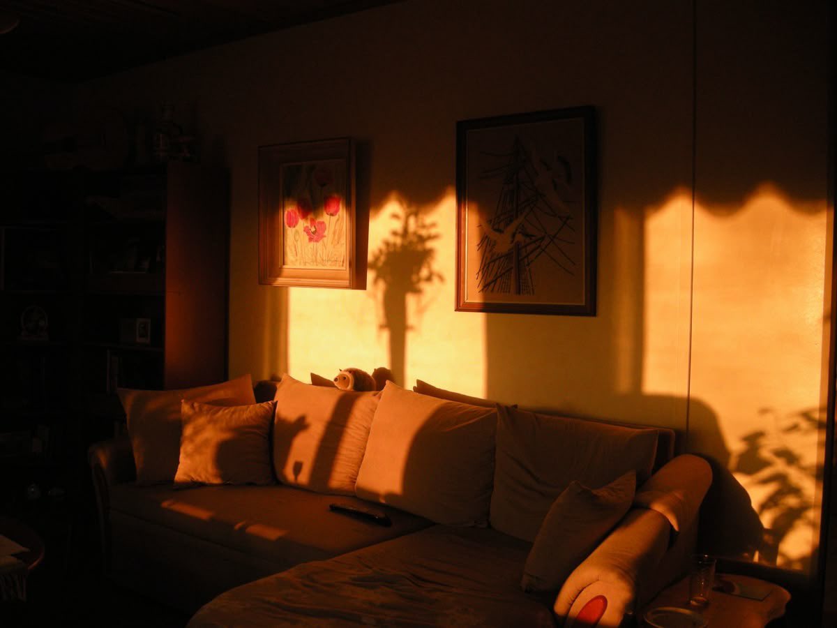 june ❀ BARABBY PILLED tweet media