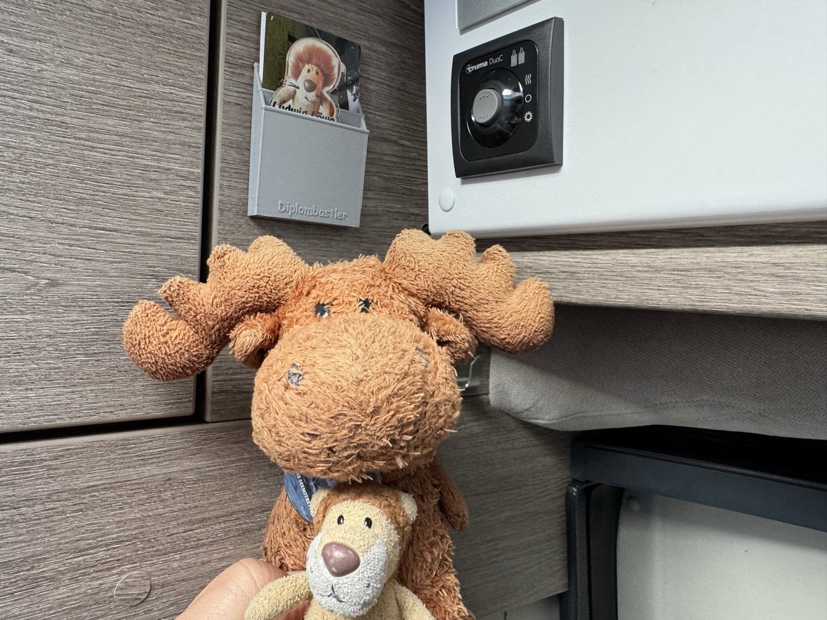 mschelterGC tweet media