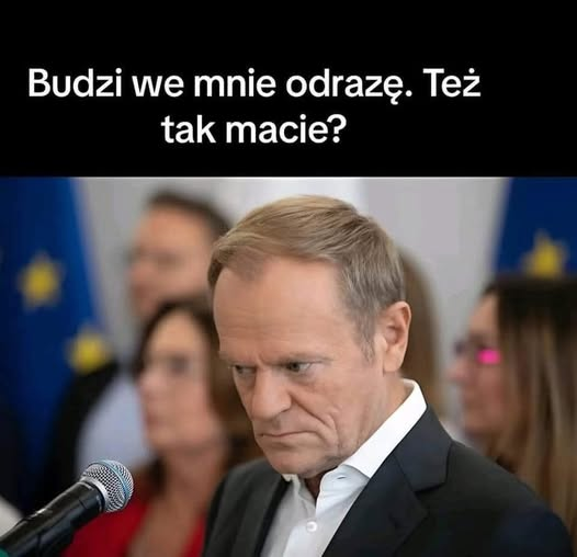 Irena Tomczak tweet media