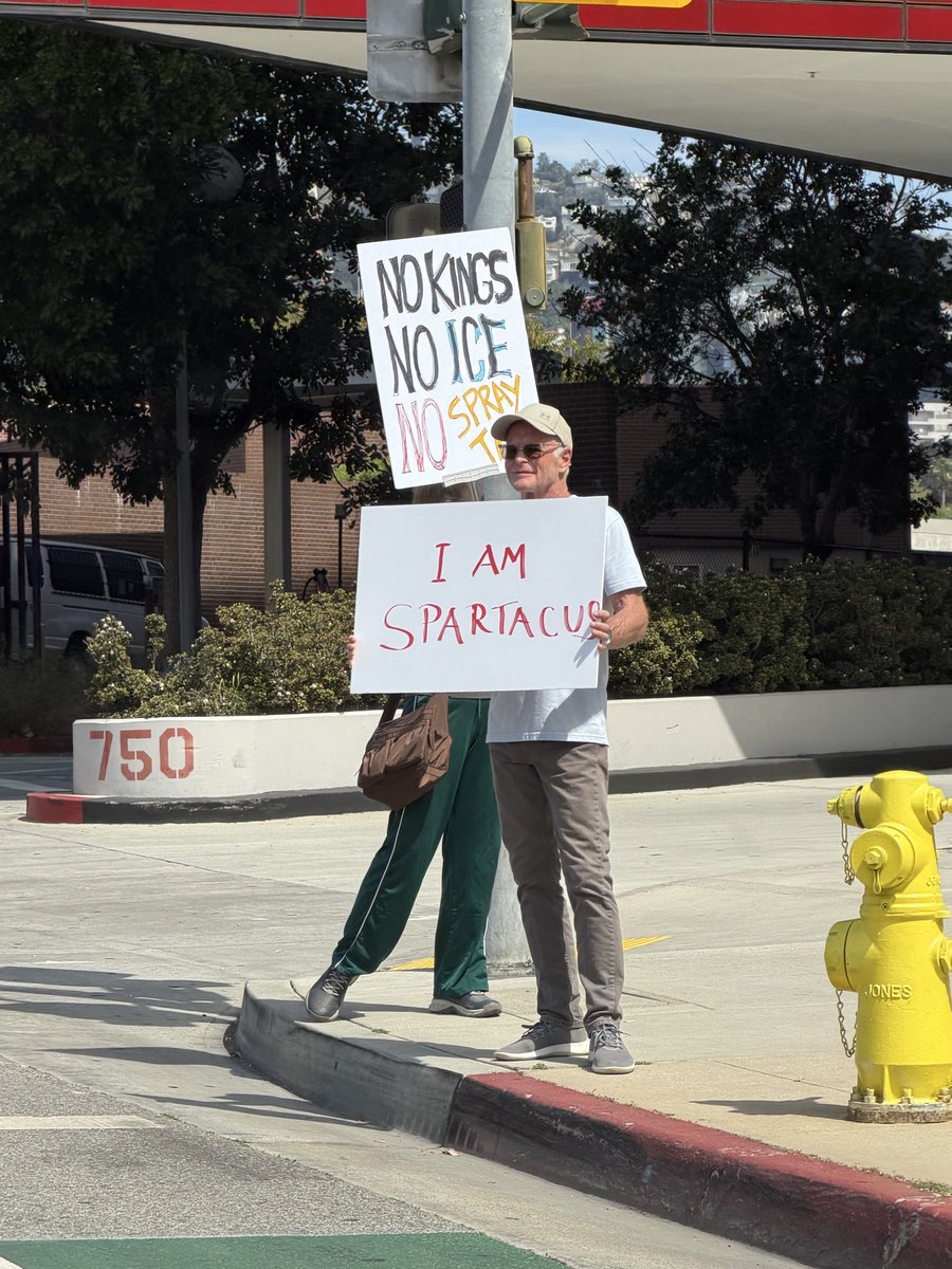 Sara Miller-Woods tweet media