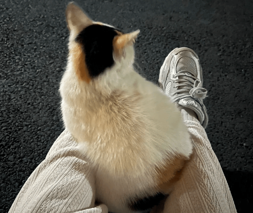 Сергей Кудряшов tweet media