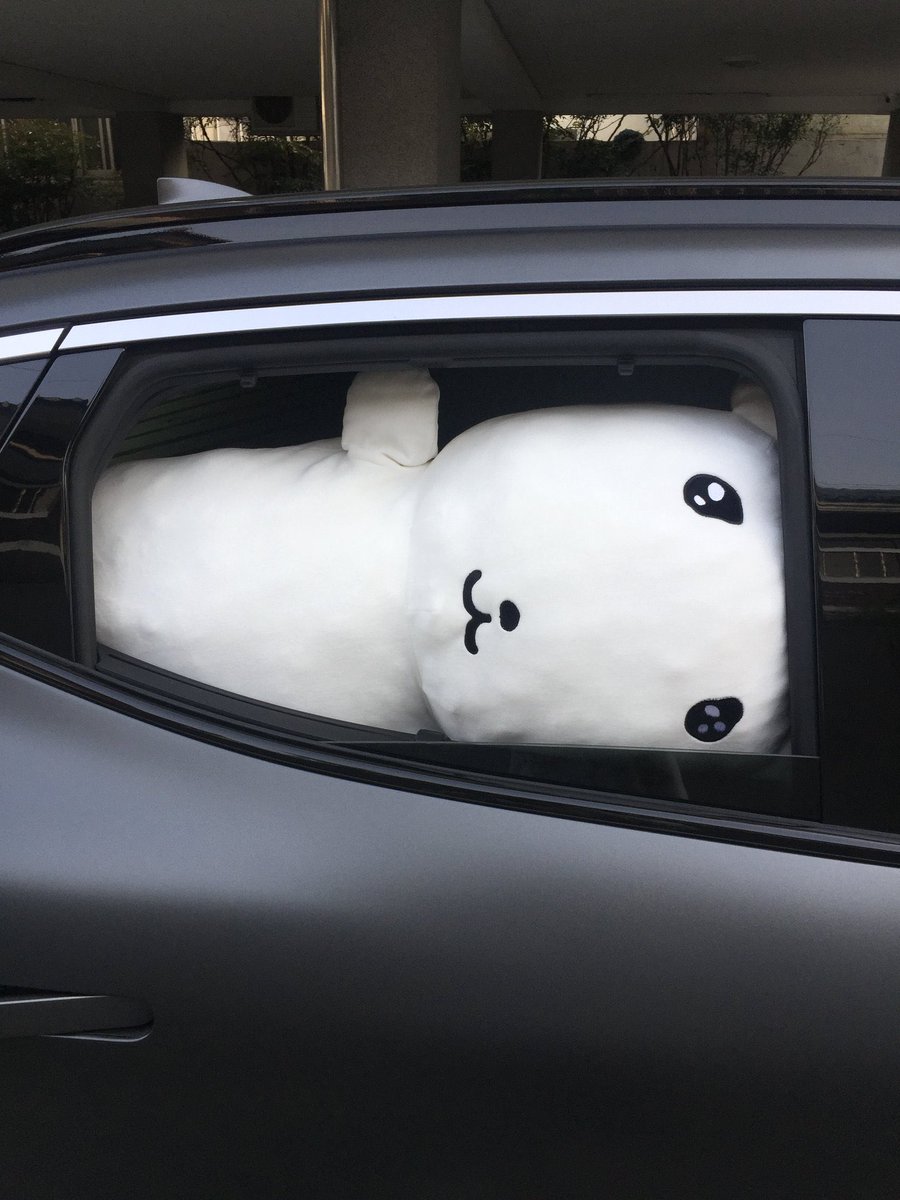 ᴿᴬᴺᴳ tweet media