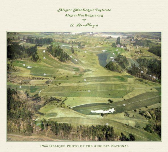 TheGolfDivoTee™ tweet media