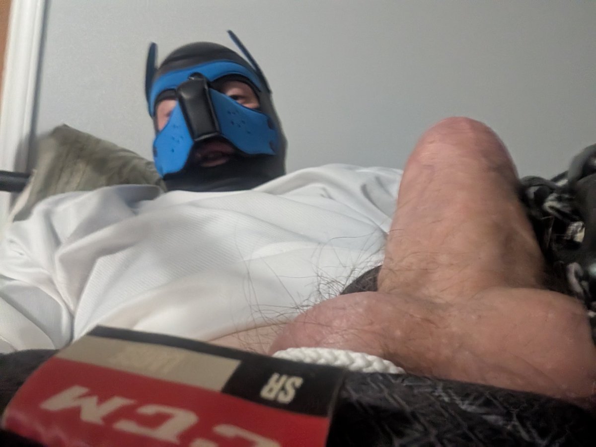 Repo 443 tweet media