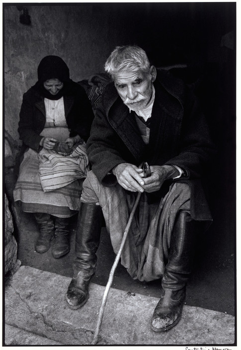 Eclecticity tweet media