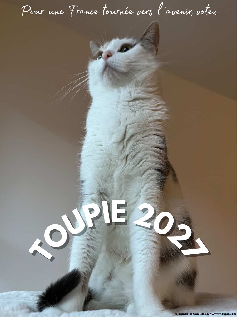 toupie bébé tweet media