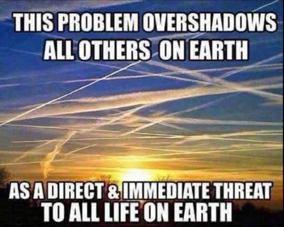 Concerned Citizen tweet media