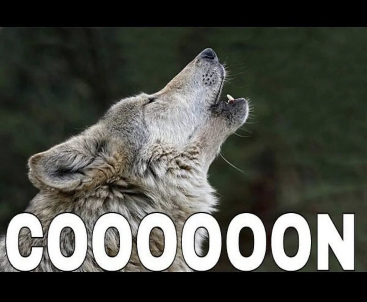 Political Navigator tweet media