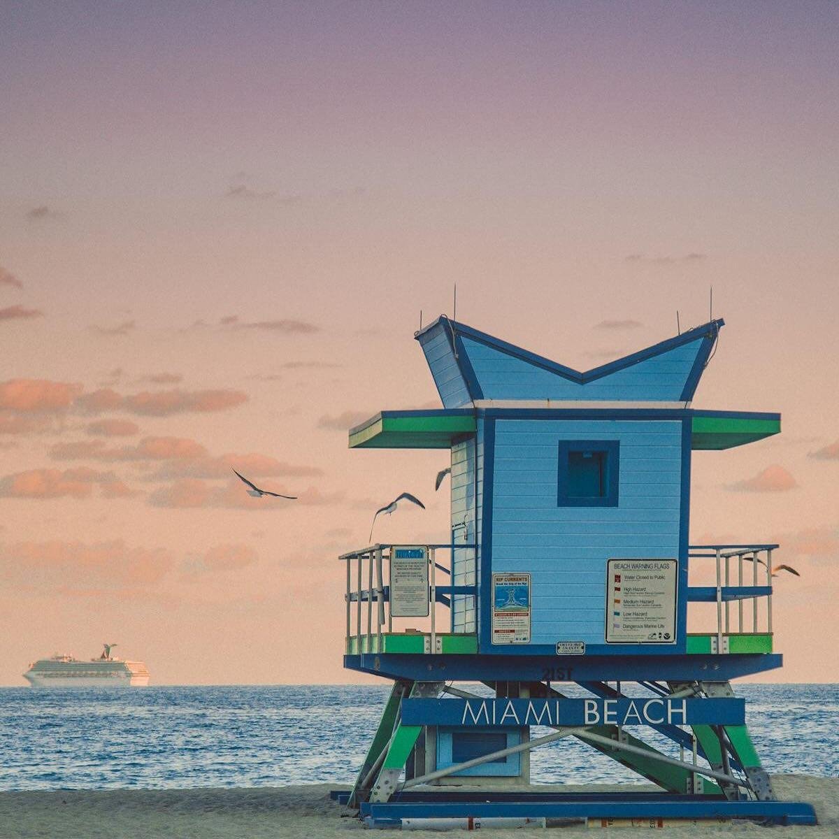 VISIT FLORIDA tweet media