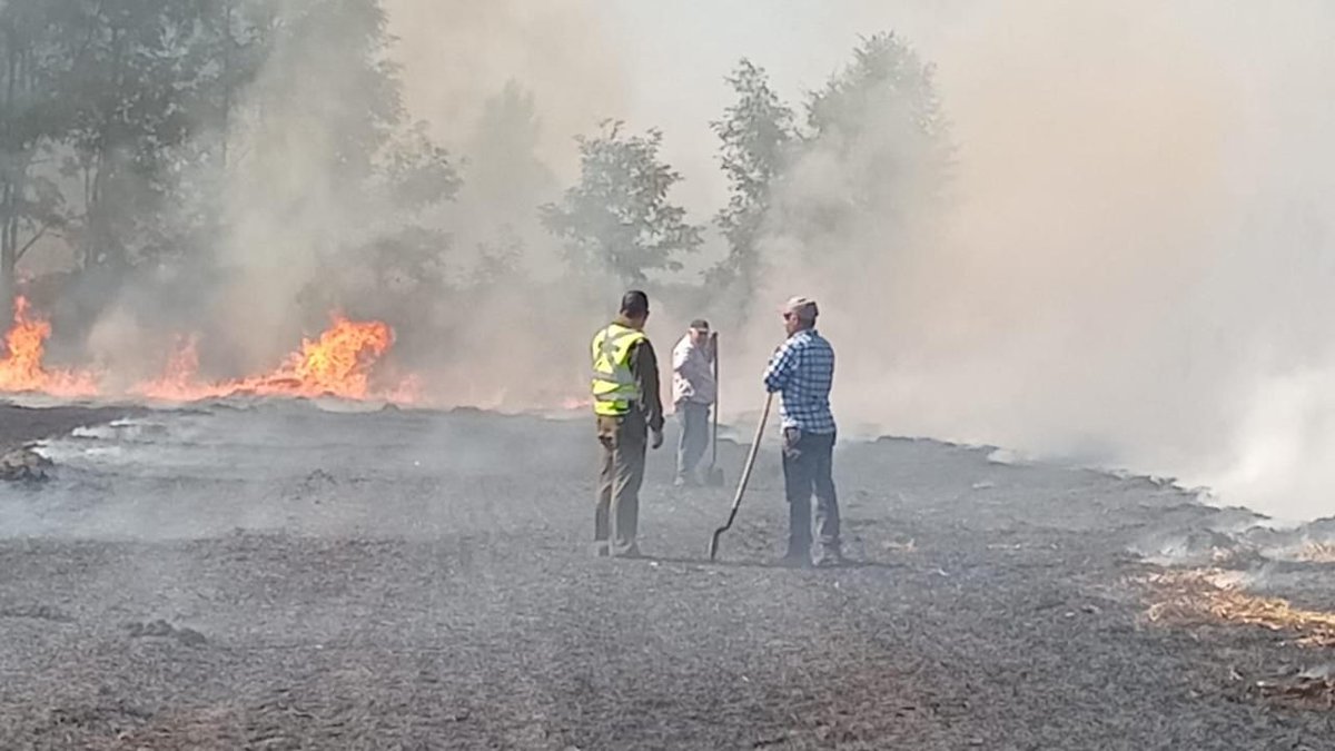 Carabineros Región de Ñuble tweet media