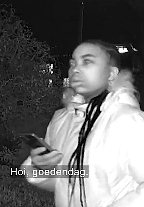 Woeste Willem | uw zon in donk’re dagen tweet media