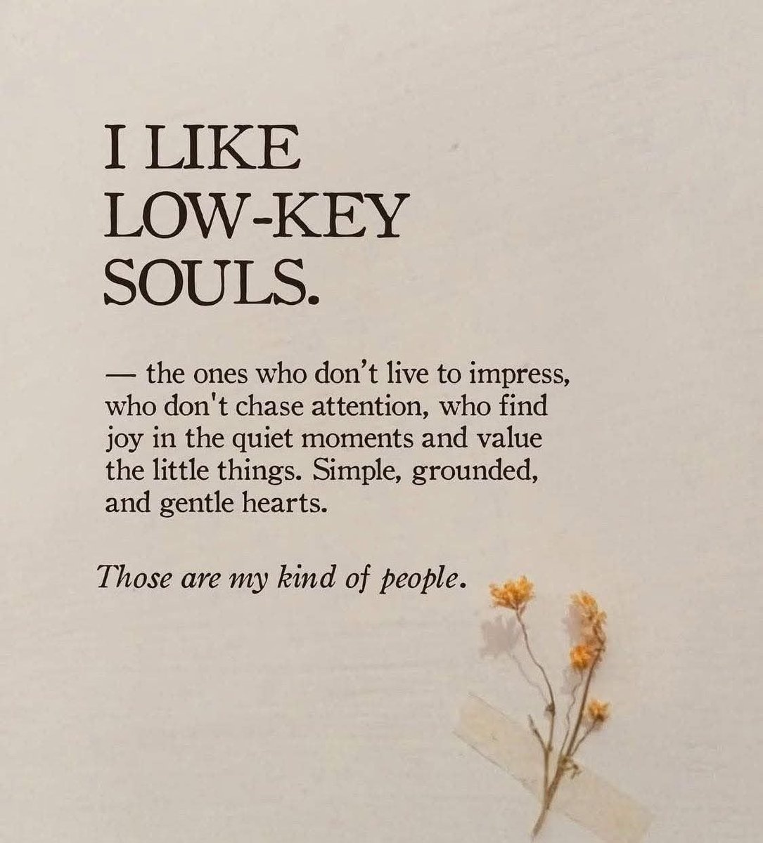 Art of Pure Mind tweet media