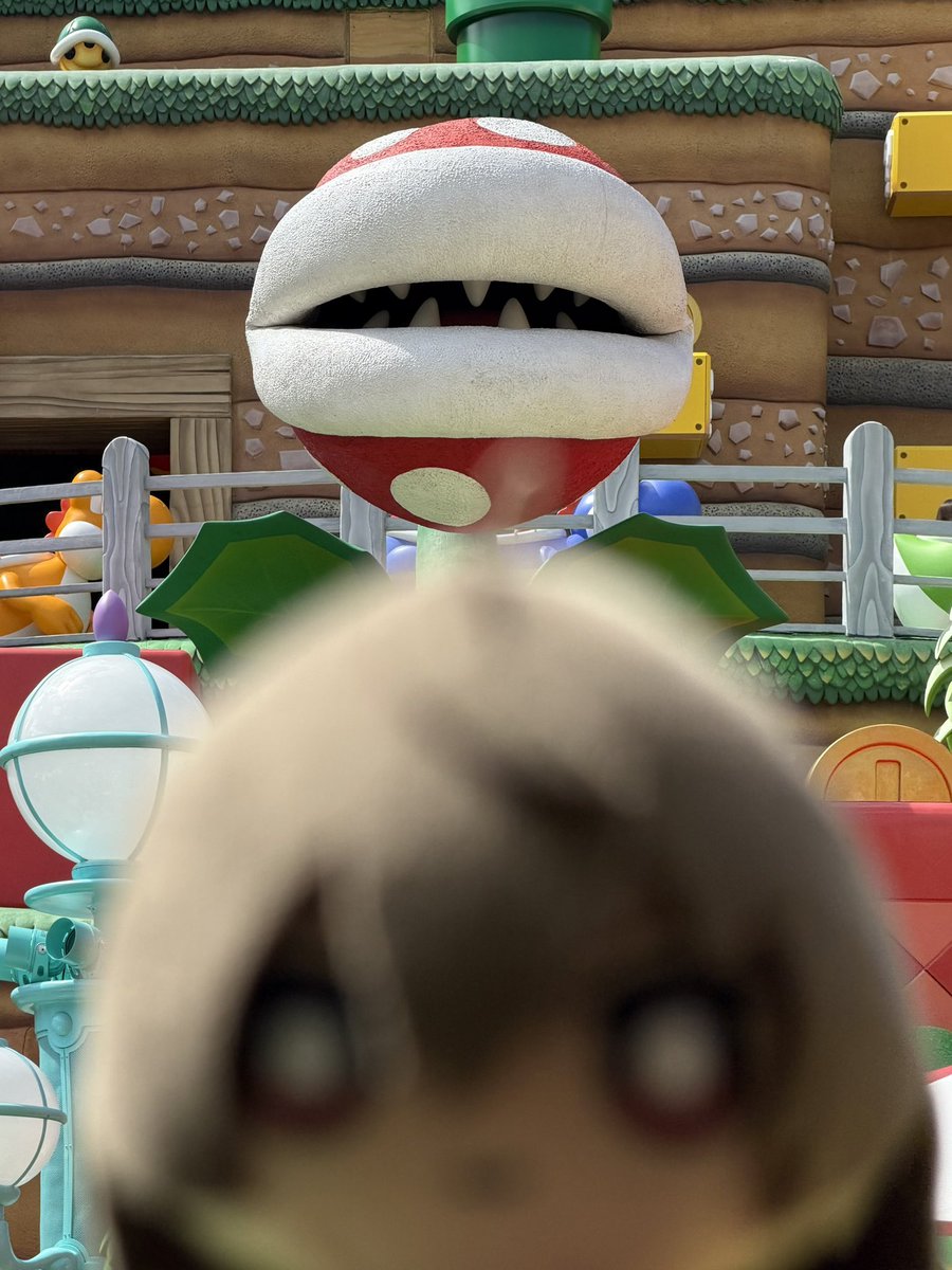 Zander🌻 tweet media