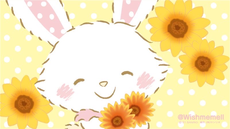 sanrio daily ✨ tweet media