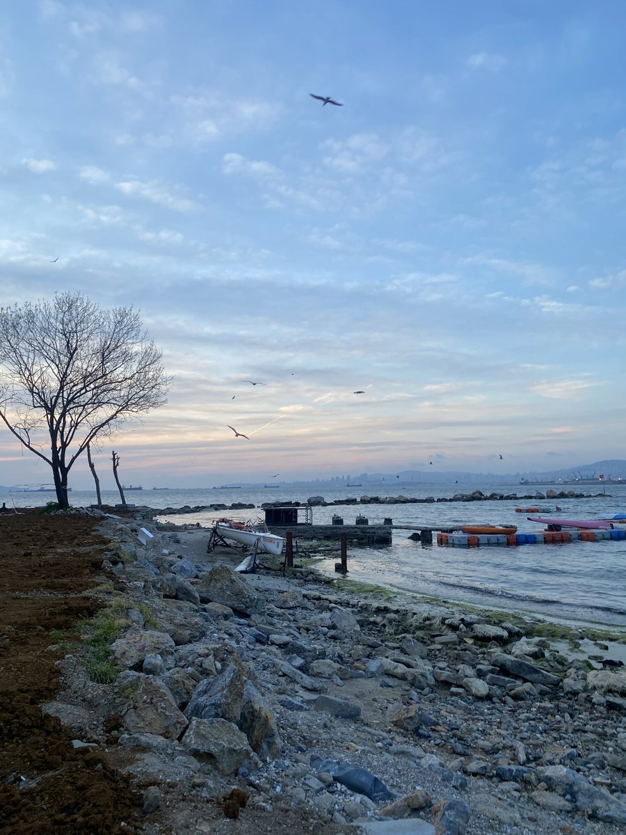 ⋆｡˚⋆❀ elizabeth𓇼 ˖bennet ⋆｡˚⋆❀ tweet media