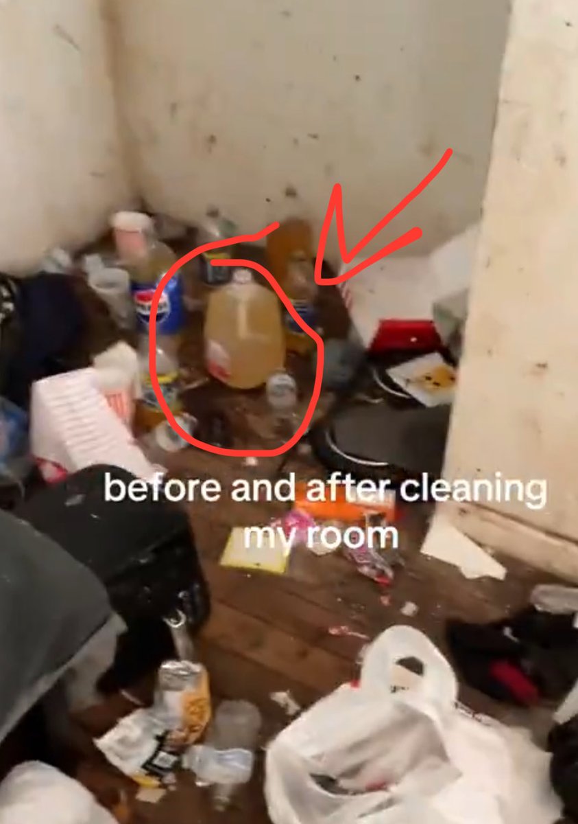 misled.eth tweet media