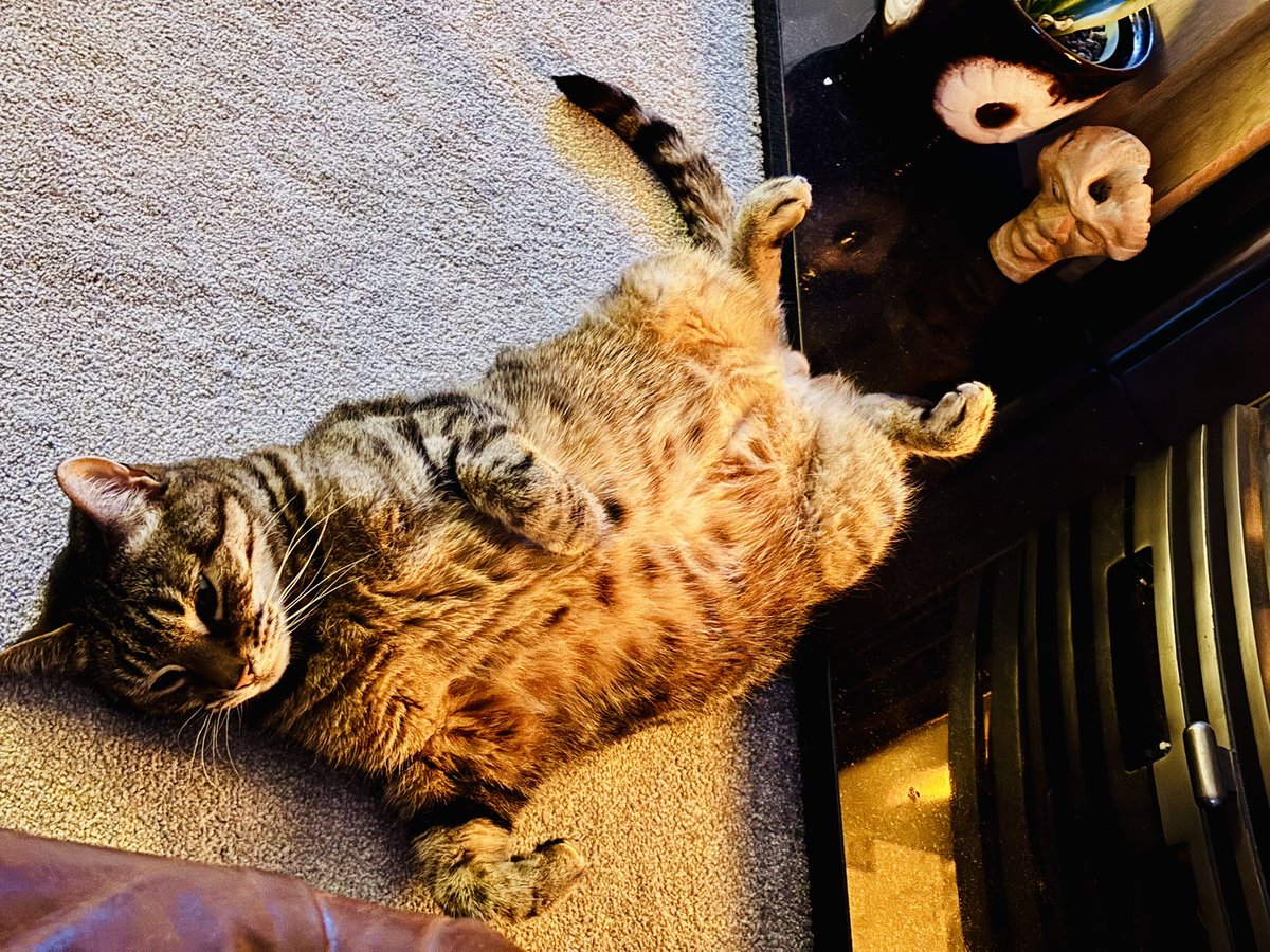 Rrrrrrrrr tweet media