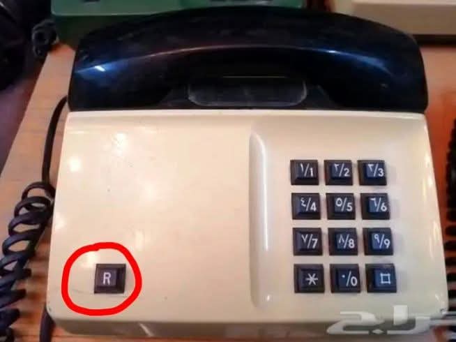 Dina Sa3di Ph.D tweet media