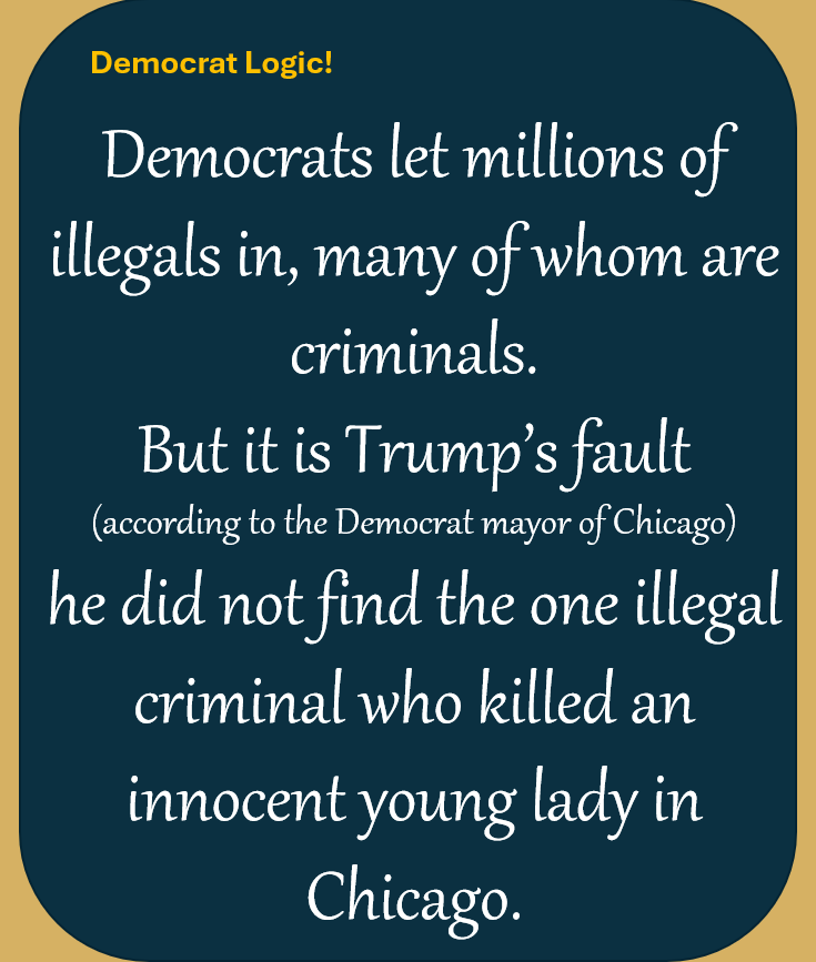 Samuel Ibrahim | The Vigilant Americans tweet media