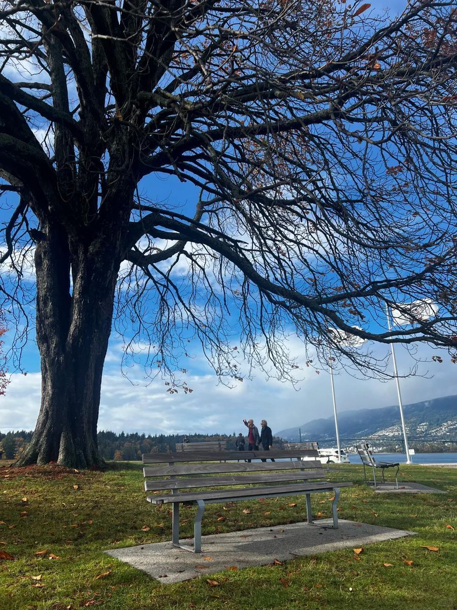 Ava48592's tweet photo. #The beauty of Vancouver in the fall is truly breathtaking. The clean air and the fallen leaves on the streets are cinematic. The natural beauty of this city can give your heart a sense of peace and freedom beyond words. https://t.co/u0yhD2K1DZ