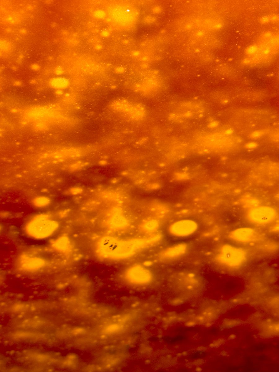 Steven A Bowman tweet media