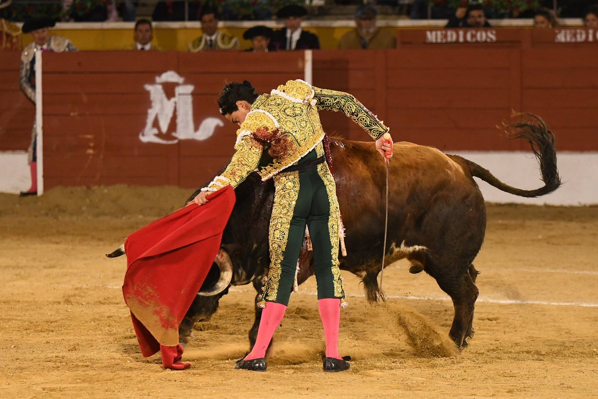 CopaChenel tweet media