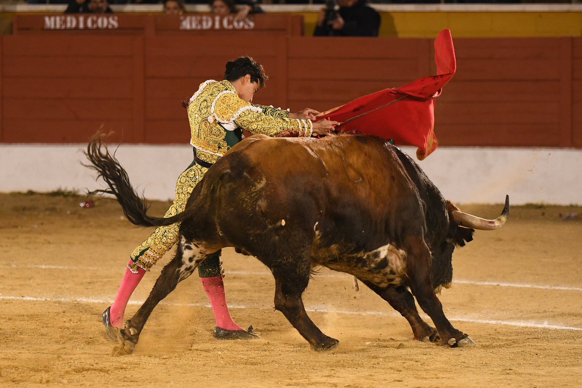 CopaChenel tweet media