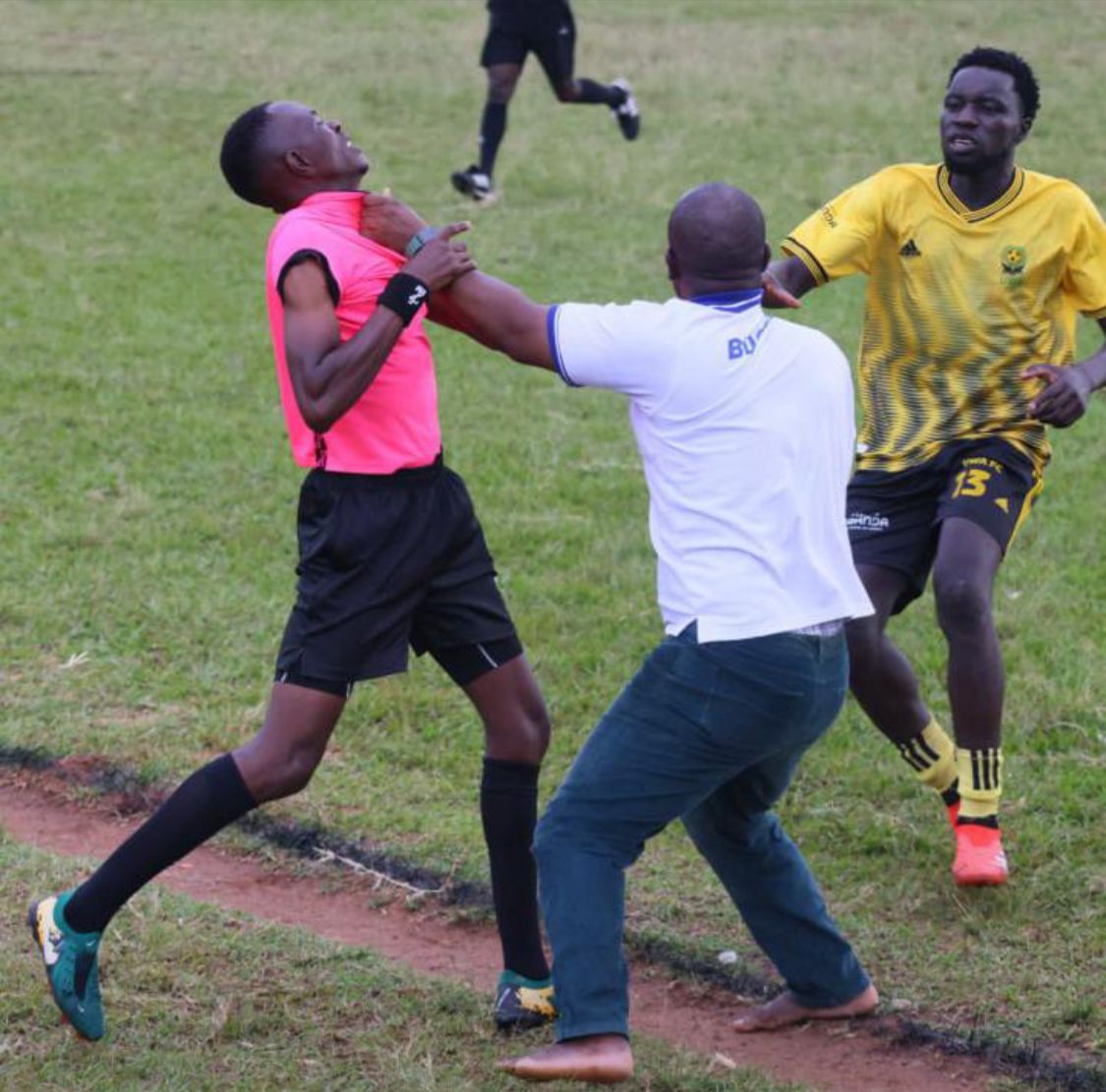 NBS Sport tweet media