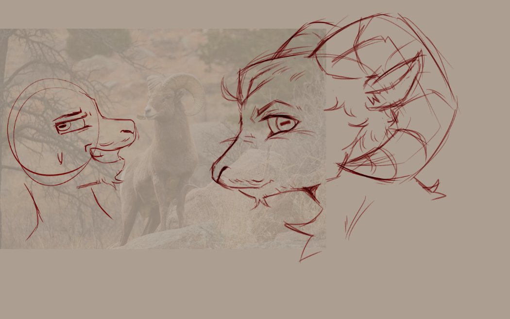 coopert / ral 🐾 tweet media