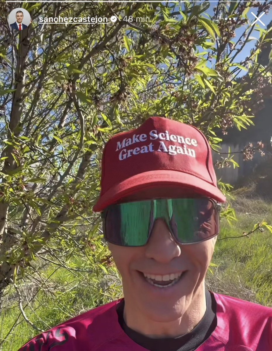 Malamente® tweet media