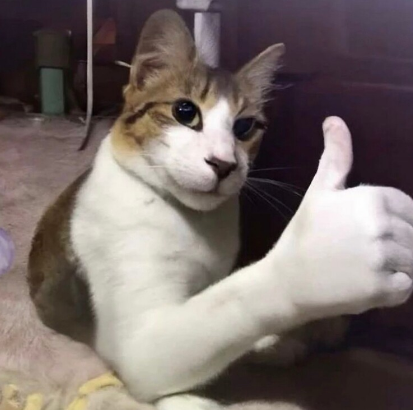 ⭕LUCHO tweet media