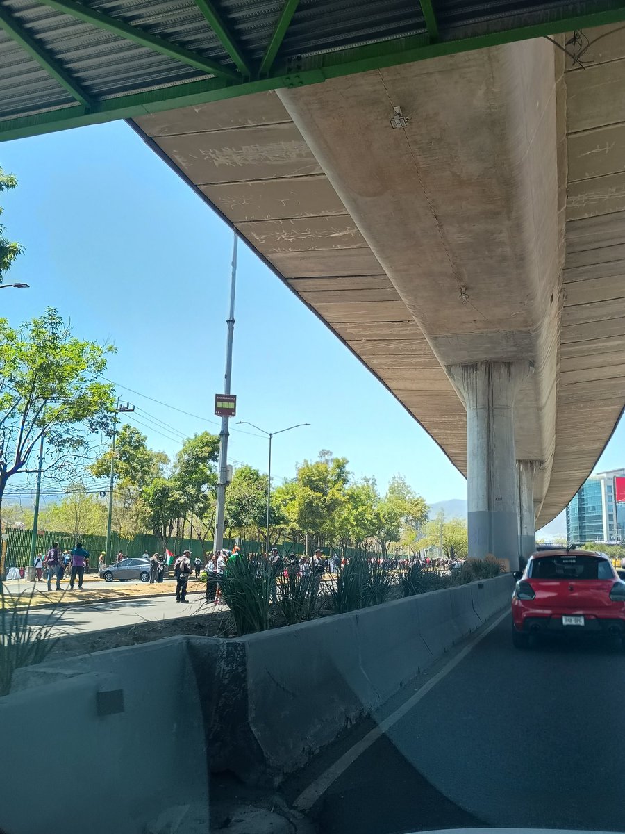 Cat Queen🐱 Sin palomita azul tweet media