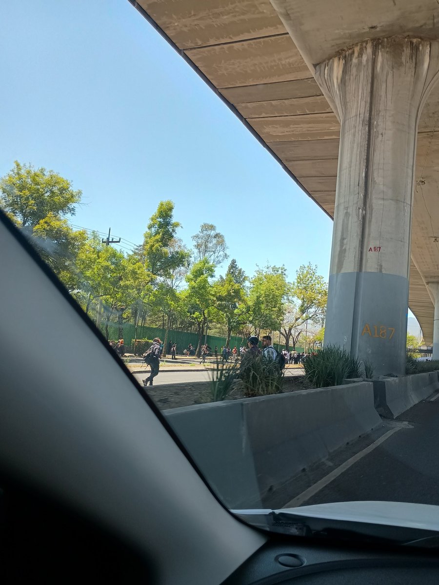 Cat Queen🐱 Sin palomita azul tweet media