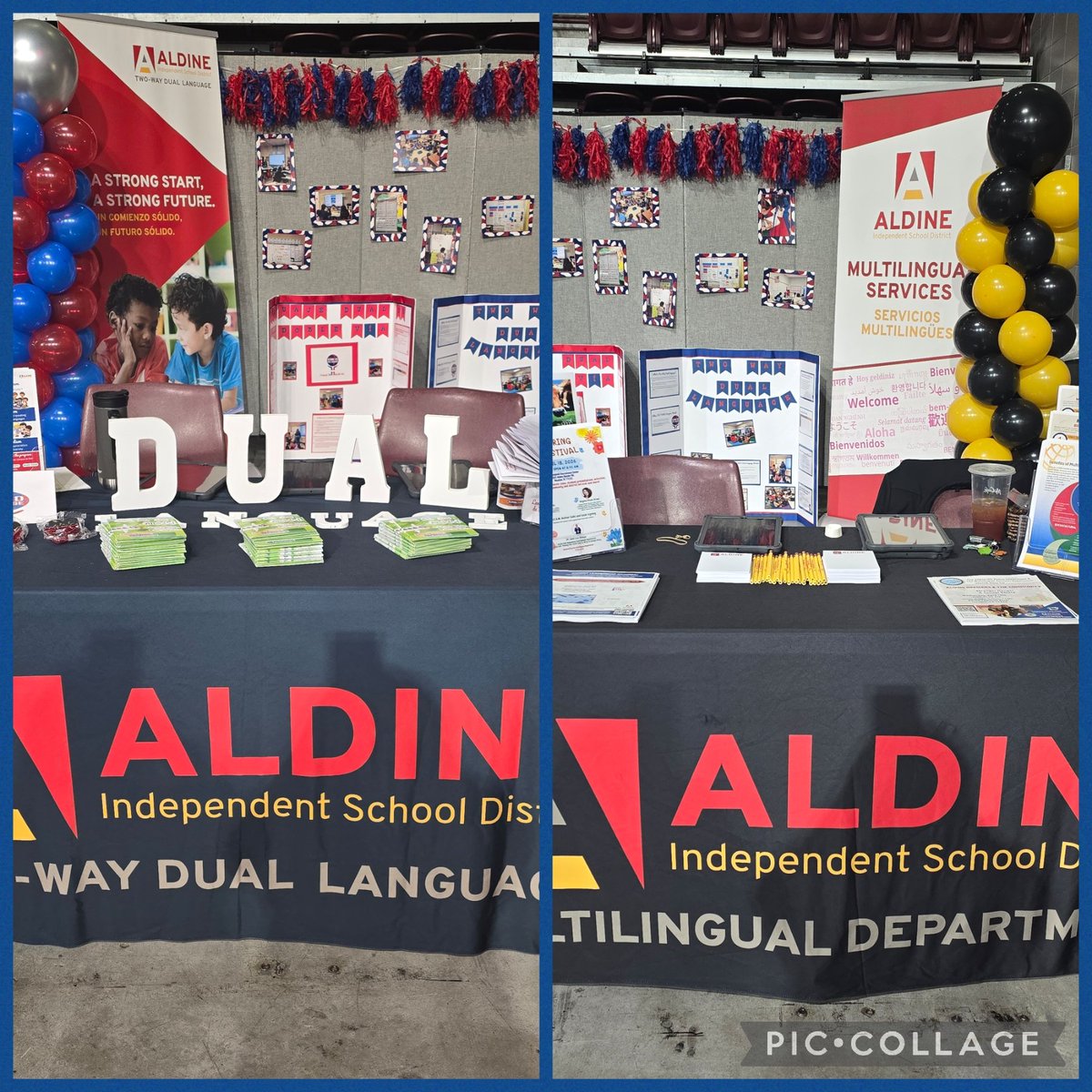 Bernadette tweet media